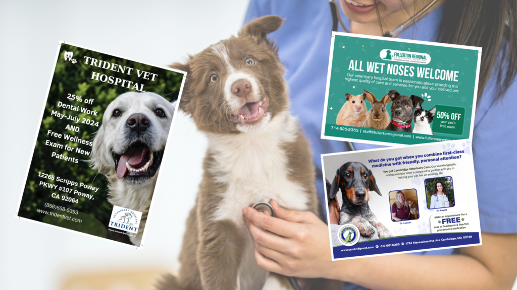 direct mail for vets