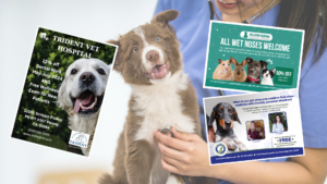 direct mail for vets